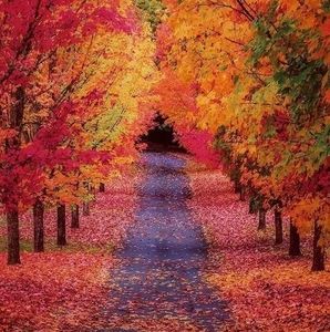 Meet your Posher, Rick